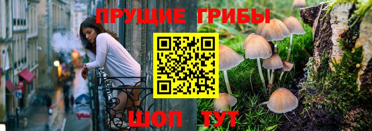 Галлюциногенные грибы GOLDEN TEACHER Заволжье
