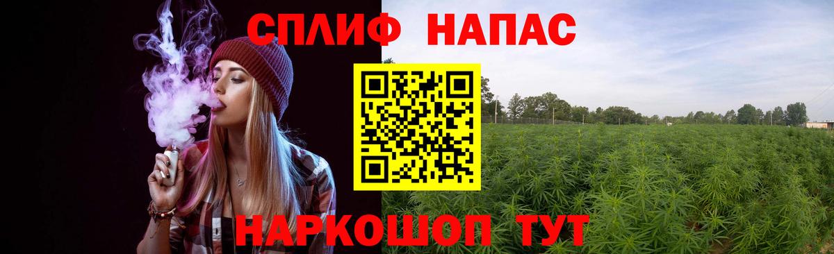 Бошки Шишки планчик  Вход с VPN  Заволжье  Марихуана индика  Канабис VHQ  Бошки марихуана Ganja 